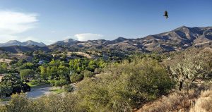 Luxury Real Estate : Neverland | Sycamore Valley Ranch, Finest Residences