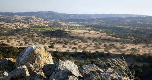 Luxury Real Estate : Neverland | Sycamore Valley Ranch, Finest Residences